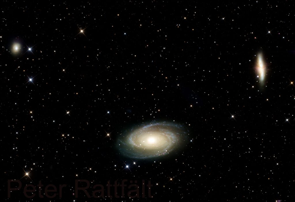 M81